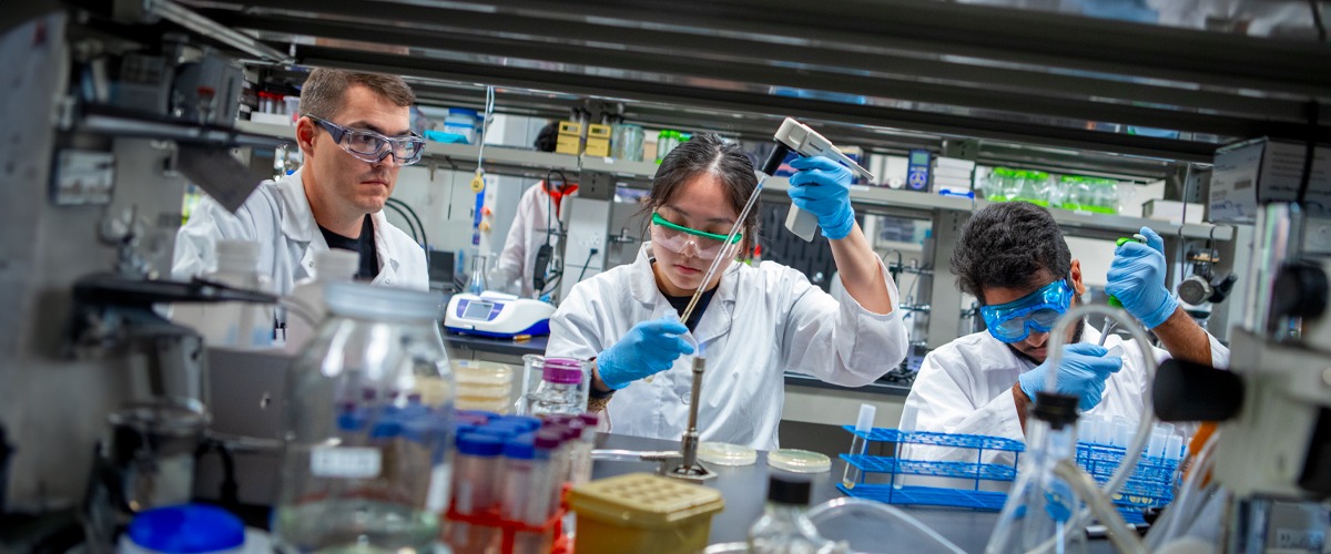 imageye imgi 234 biological and chemical sciences research hero